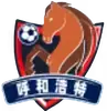 呼和浩特队