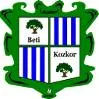 贝提科扎赫